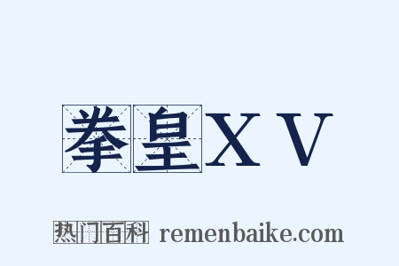 拳皇XV是什么意思的图片